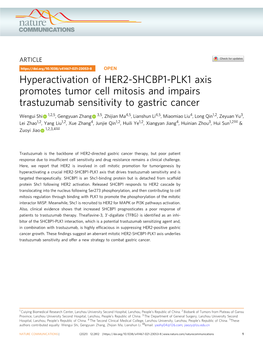 Hyperactivation of HER2-SHCBP1-PLK1 Axis Promotes Tumor Cell Mitosis and Impairs Trastuzumab Sensitivity to Gastric Cancer