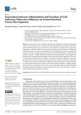 Association Between Inflammation and Function of Cell Adhesion Molecules Influence on Gastrointestinal Cancer Development