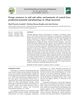 Production Potential and Phenology of Alhagi Maurorum