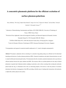 A Concentric Plasmonic Platform for the Efficient Excitation of Surface Plasmon-Polaritons