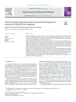 TRAF4 Promotes Endometrial Cancer Cell Growth and Migration by Activation of PI3K/AKT/Oct4 Signaling T ⁎ Pengmu Xie, Xiuling Wang, Min Kong, Xiuyu Bai, Tao Jiang