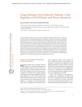 Cargo Sorting in the Endocytic Pathway: a Key Regulator of Cell Polarity and Tissue Dynamics