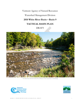 2018 White River Tactical Basin Plan