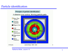 Particle Identification