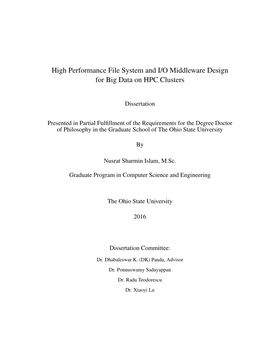 High Performance File System and I/O Middleware Design for Big Data on HPC Clusters