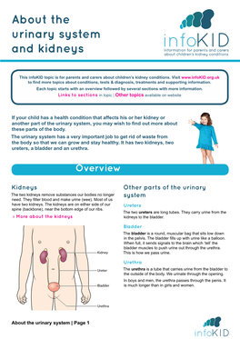 About the Urinary System and Kidneys
