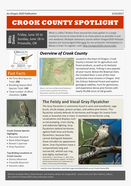 Crook County Spotlight