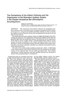 The Connections of the Inferior Colliculus and the Organization Of