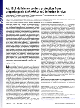 Atg16l1 Deficiency Confers Protection from Uropathogenic Escherichia Coli