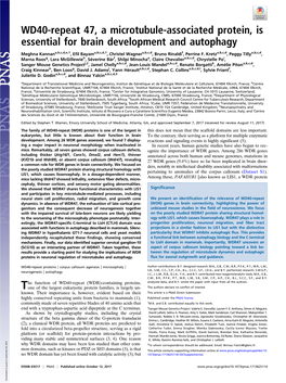 WD40-Repeat 47, a Microtubule-Associated Protein, Is Essential for Brain Development and Autophagy