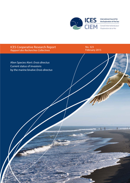 Ensis Directus Current Status of Invasions by the Marine Bivalve Ensis Directus