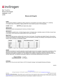 Mouse Anti-Cingulin Mouse Anti-Cingulin