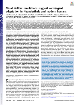 Nasal Airflow Simulations Suggest Convergent Adaptation in Neanderthals and Modern Humans