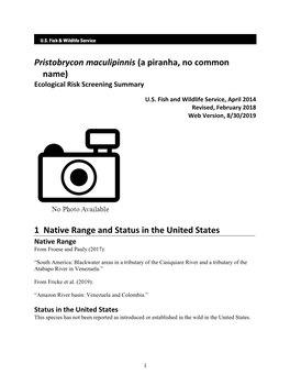 Pristobrycon Maculipinnis (A Piranha, No Common Name) Ecological Risk Screening Summary