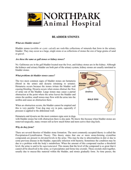 Bladder Stones