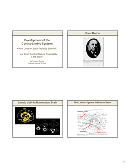 1 Development of the Cortico-Limbic System: Paul Broca