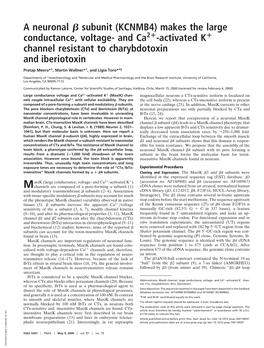 A Neuronal Subunit (KCNMB4) Makes the Large Conductance, Voltage