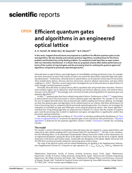 Efficient Quantum Gates and Algorithms in an Engineered Optical Lattice