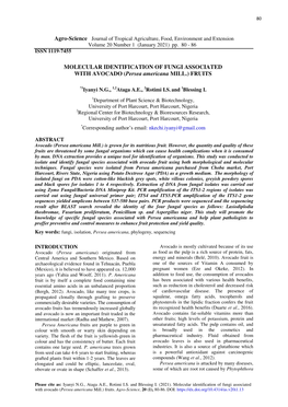 MOLECULAR IDENTIFICATION of FUNGI ASSOCIATED with AVOCADO (Persea Americana MILL.) FRUITS