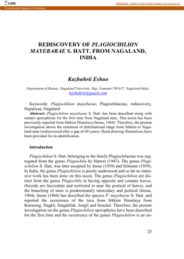Rediscovery of Plagiochilion Mayebarae S. Hatt