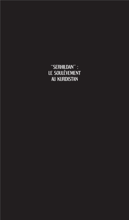 “Serhildan” : Le Soulèvement Au Kurdistan 4 