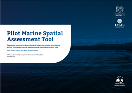 Pilot Marine Spatial Assessment Tool