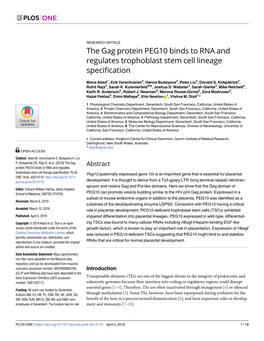 The Gag Protein PEG10 Binds to RNA and Regulates Trophoblast Stem Cell Lineage Specification