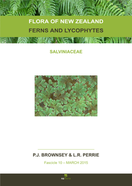 Flora of New Zealand Ferns and Lycophytes