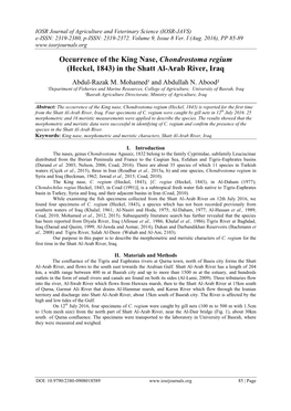 Occurrence of the King Nase, Chondrostoma Regium (Heckel, 1843) in the Shatt Al-Arab River, Iraq