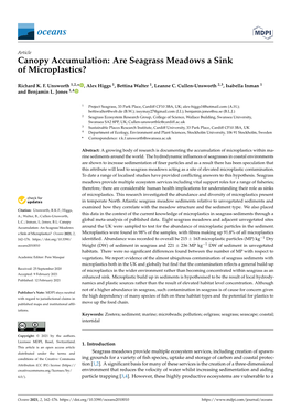 Canopy Accumulation: Are Seagrass Meadows a Sink of Microplastics?