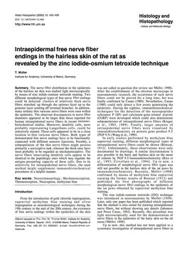 Lntraepidermal Free Nerve Fiber Endings in the Hairless Skin of the Rat As Revealed by the Zinc Iodide-Osmium Tetroxide Technique