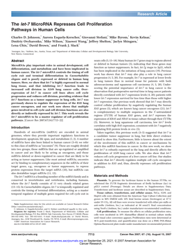 The Let-7 Microrna Represses Cell Proliferation Pathways in Human Cells