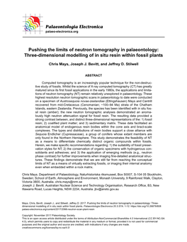 Neutron Tomography in Palaeontology: Three-Dimensional Modelling of in Situ Resin Within Fossil Plants