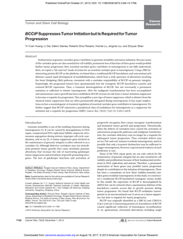 Bccipsuppresses Tumor Initiation but Is Required for Tumor Progression