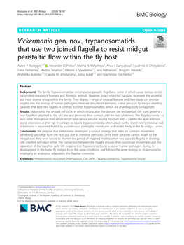 Vickermania Gen. Nov., Trypanosomatids That Use Two Joined Flagella to Resist Midgut Peristaltic Flow Within the Fly Host Alexei Y