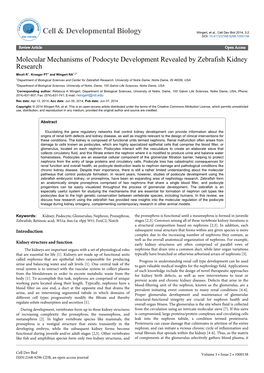 Molecular Mechanisms of Podocyte Development Revealed By