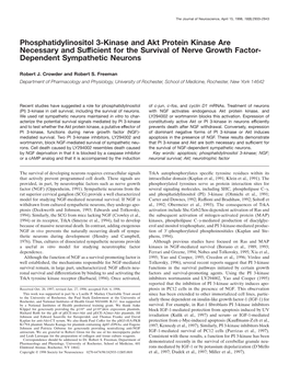 Phosphatidylinositol 3-Kinase and Akt Protein Kinase Are Necessary and Sufﬁcient for the Survival of Nerve Growth Factor- Dependent Sympathetic Neurons