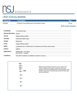 LRIG1 Antibody (RQ4668)
