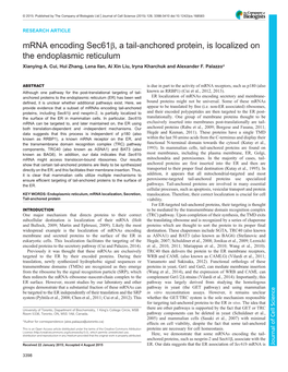 Mrna Encoding Sec61β, a Tail-Anchored Protein, Is Localized on the Endoplasmic Reticulum Xianying A