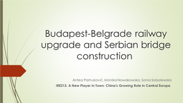 Budapest-Belgrade Railway Upgrade and Serbian Bridge Construction