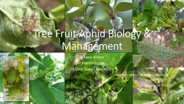 Tree Fruit Aphid Biology & Management