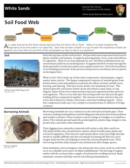 Soil Food Web