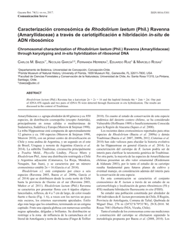 Amaryllidaceae) a Través De Cariotipificación E Hibridación In-Situ De ADN Ribosómico