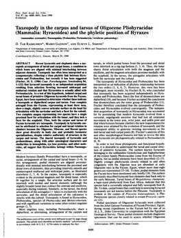 (Mammalia: Hyracoidea) and the Phyletic Position of Hyraxes (Mammalian Systematics/Paenungulata/Proboscidea/Perissodactyla/Vertebrate Paleontology) D