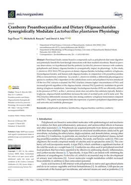 Cranberry Proanthocyanidins and Dietary Oligosaccharides Synergistically Modulate Lactobacillus Plantarum Physiology