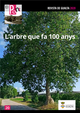 L'arbre Que Fa 100 Anys