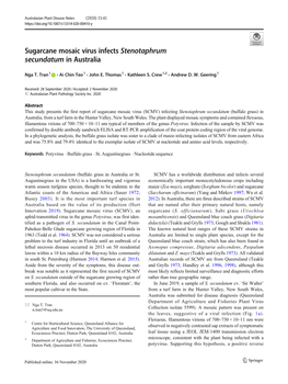 Sugarcane Mosaic Virus Infects Stenotaphrum Secundatum in Australia