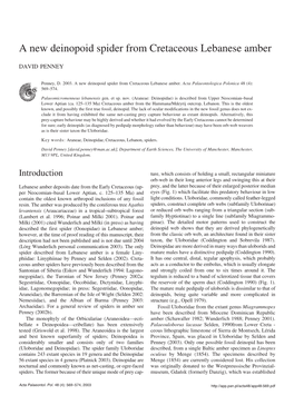 A New Deinopoid Spider from Cretaceous Lebanese Amber