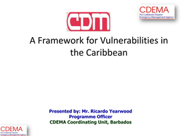 CDM Framework 2006