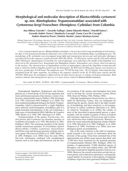 Kinetoplastea: Trypanosomatidae) Associated with Cyrtomenus Bergi Froeschner (Hemiptera: Cydnidae) from Colombia